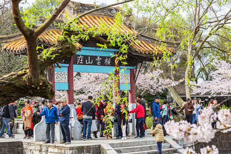 琳琅登录：炫酷！南部战区空军战机飞行训练大图_军事频道_中华网